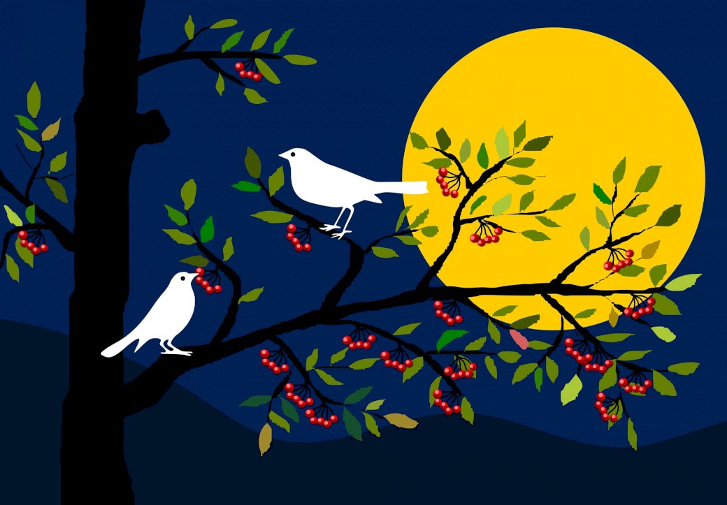 Ptaki w nocy puzzle online