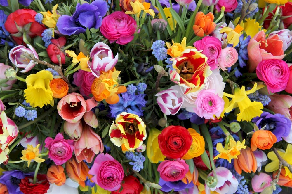 Ładne wiosenne kwiaty puzzle online