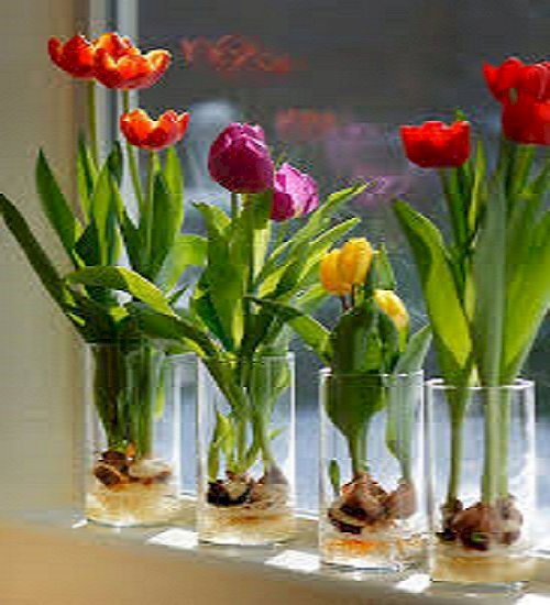 Tulipany  . puzzle online