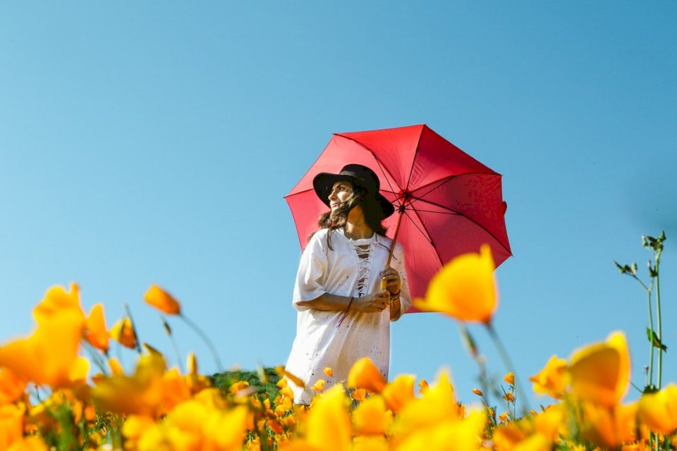 Czerwony parasol w żółte kwiaty puzzle online