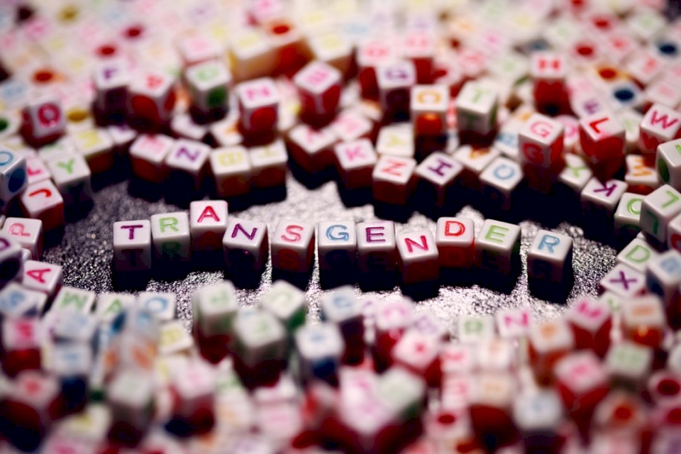 Listy transpłciowe dla płci puzzle online