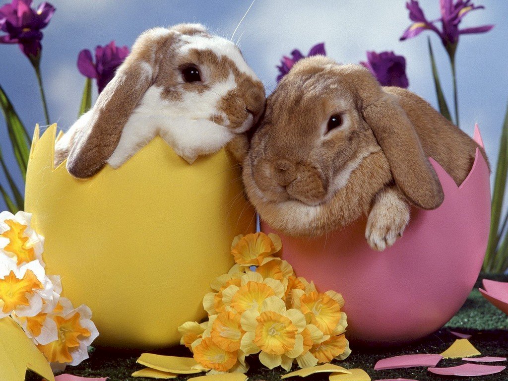 Wielkanocne króliki. puzzle online