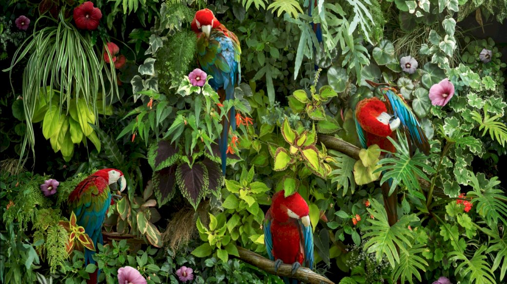 Papugi,liście,kwiaty puzzle online