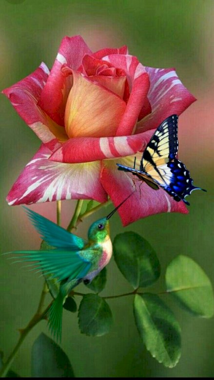 Kwiat, ptak i motyl puzzle online