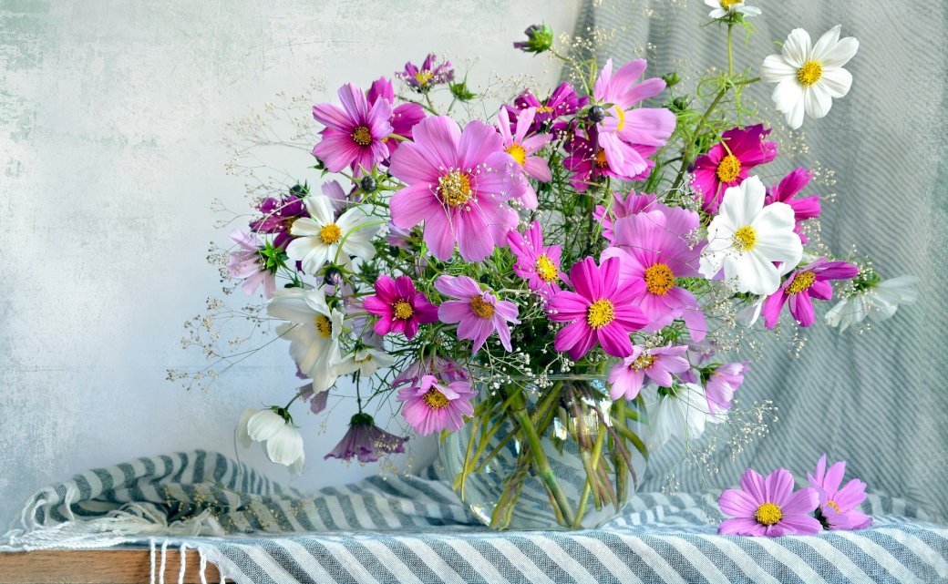 Kwiaty Kosmea, Bazon puzzle online
