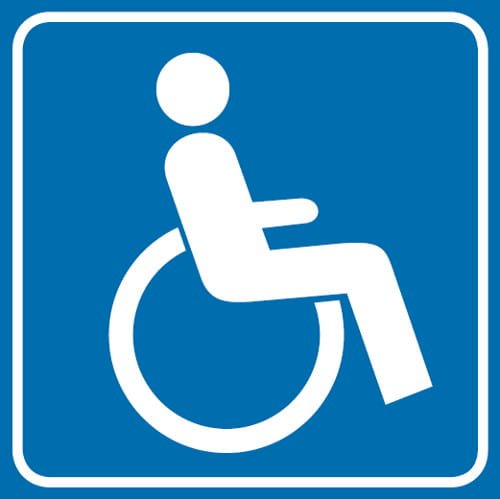 Niepełnosprawność puzzle online