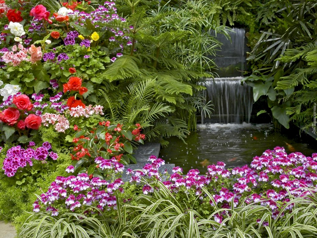Ogród,kwiaty, oczko wodne puzzle online