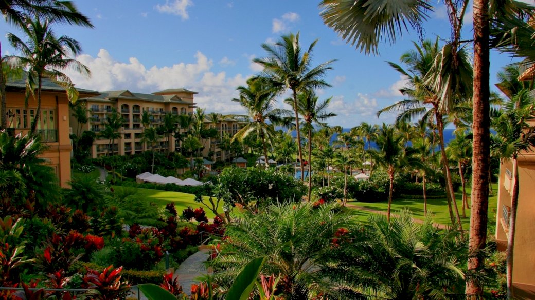 hawaii, hotel, palm trees, swimming pool, sea, fl puzzle online