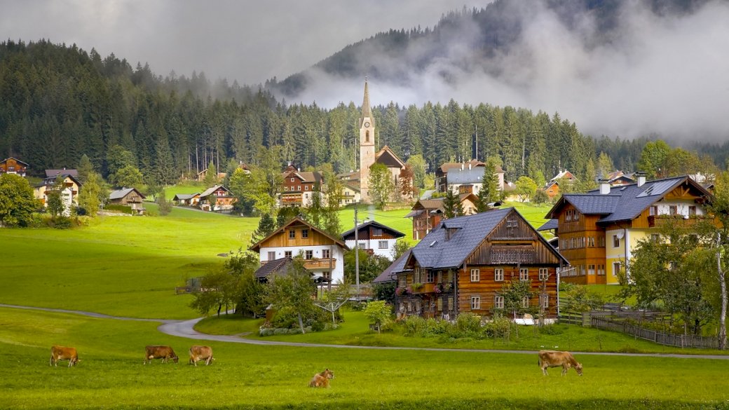 austria, gosau, village, houses, cows puzzle online