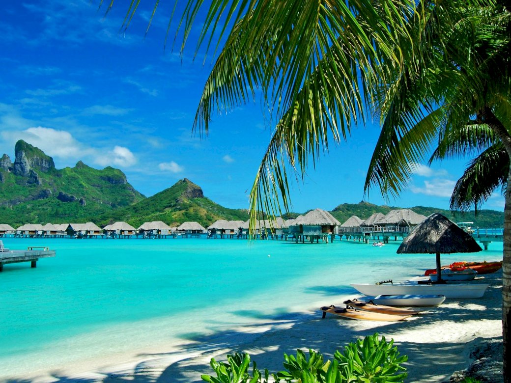 hawaii, coast, resort, rest, palm trees, puzzle online