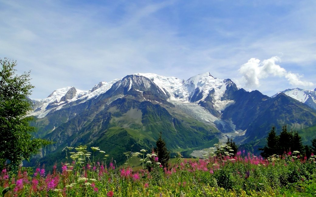 mountains_alps_flowers_tops_freshness puzzel