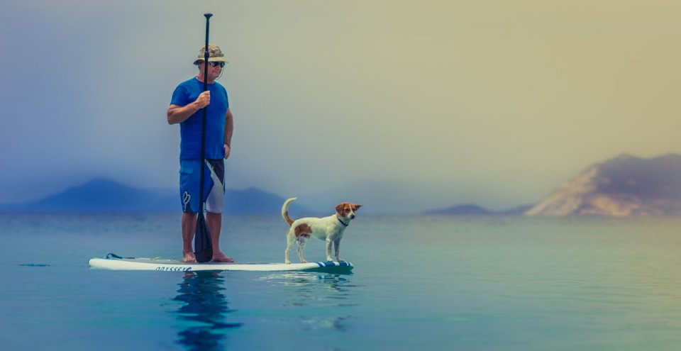 Paddleboarding człowieka i psa puzzle online