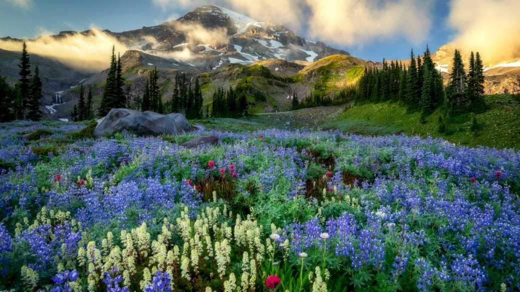 Łąka, kwiatki, Góry puzzle online