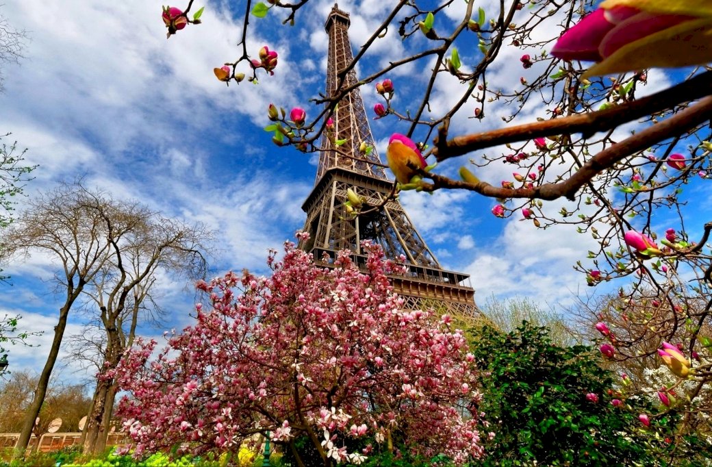 Wiosna ,Drzewa ,Kwiatki,  Wieża Eiffla puzzle online
