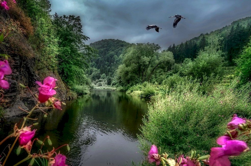 Góry, Rzeka, Kwiaty, Bociany puzzle online