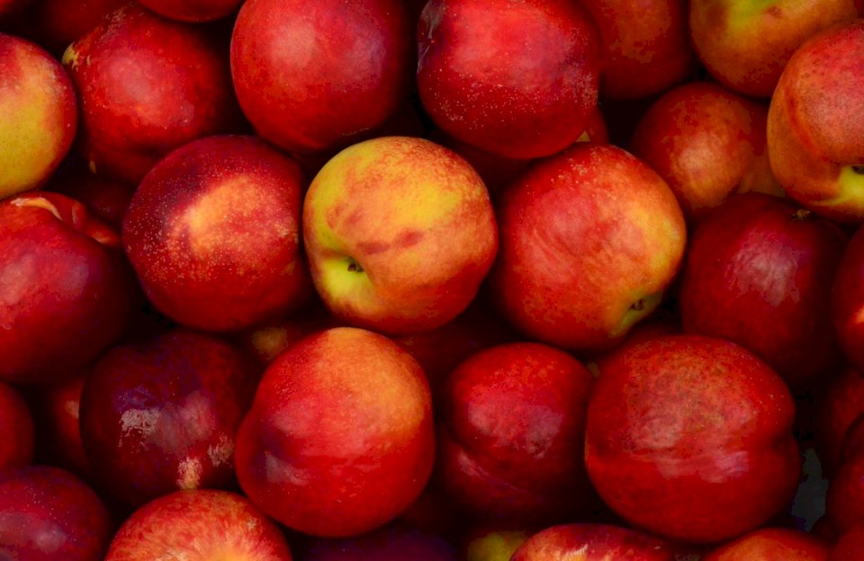 Świeże czerwone jabłka puzzle online