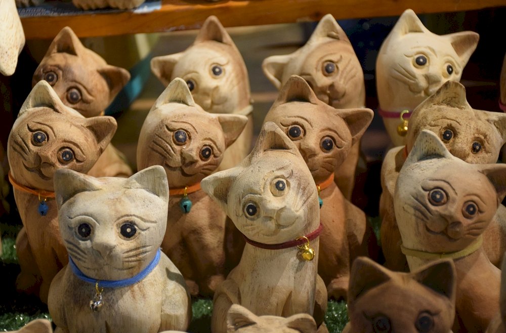 koty na nocnych bazarach Tajlandii puzzle online