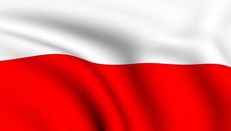 flaga polski puzzle online