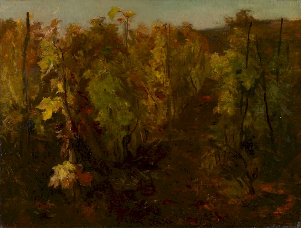 La Vigne [The Vine], puzzle online
