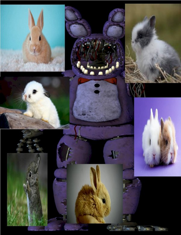 boniee króliki fnaff toxic puzzle online