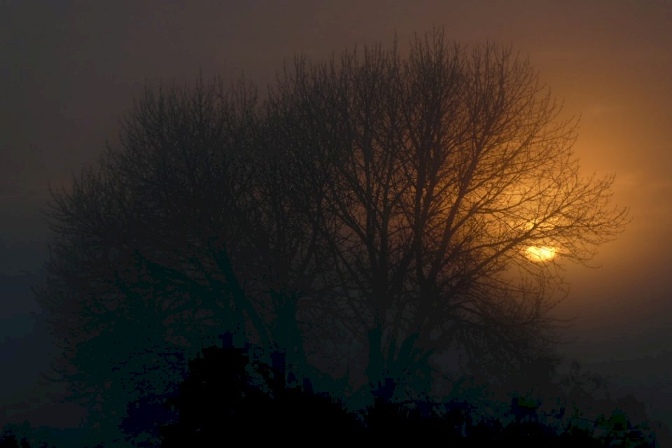 Wschód słońca w mglisty poranek puzzle online