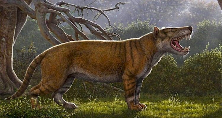 Prehistoryczny dziki lew puzzle online