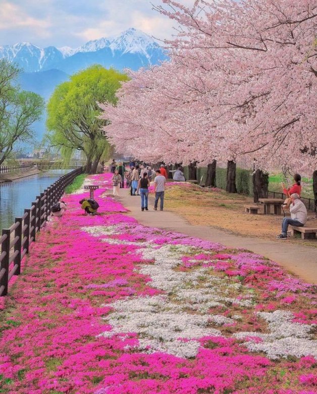 Wiosna w Japonii puzzle online