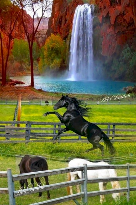 Konie we wspaniałym krajobrazie puzzle online
