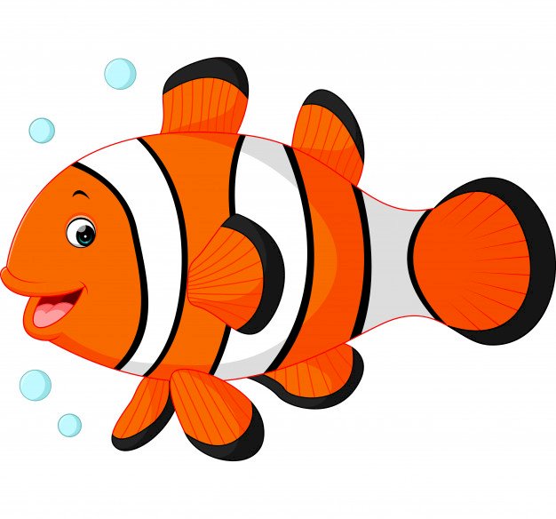 Clown Fish puzzle online
