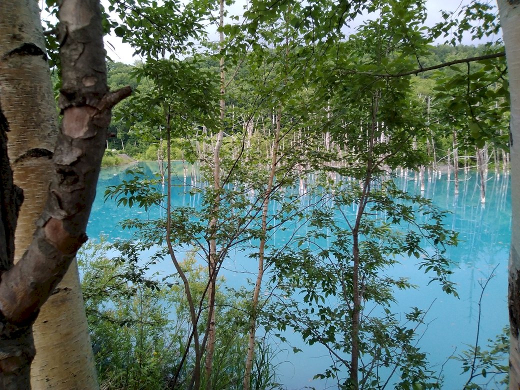 Blue Pond, Hokkaido puzzle online