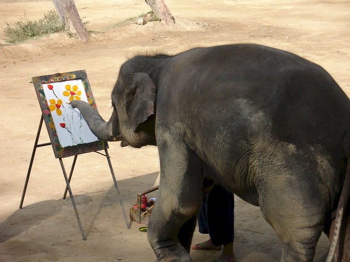 słoń w parku Chiang Mai puzzle online