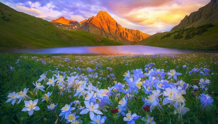 Jezior W Górach ,Niebieskie Kwiatki puzzle online