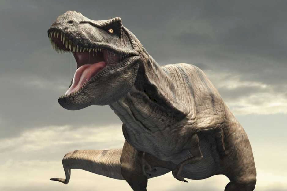 t-rex król dinozaurów puzzle online