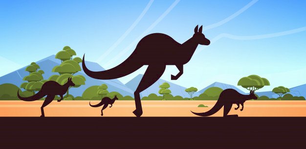 kangury puzzle online