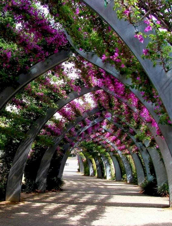 Tunel kwiatowy. puzzle online