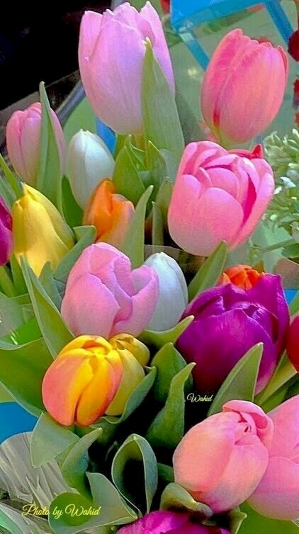 Bukiet tulipanów puzzle online