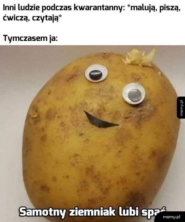 memy ziemniaków puzzle online