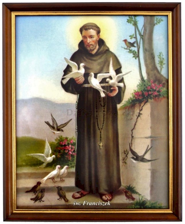 święty Franciszek patron puzzle online