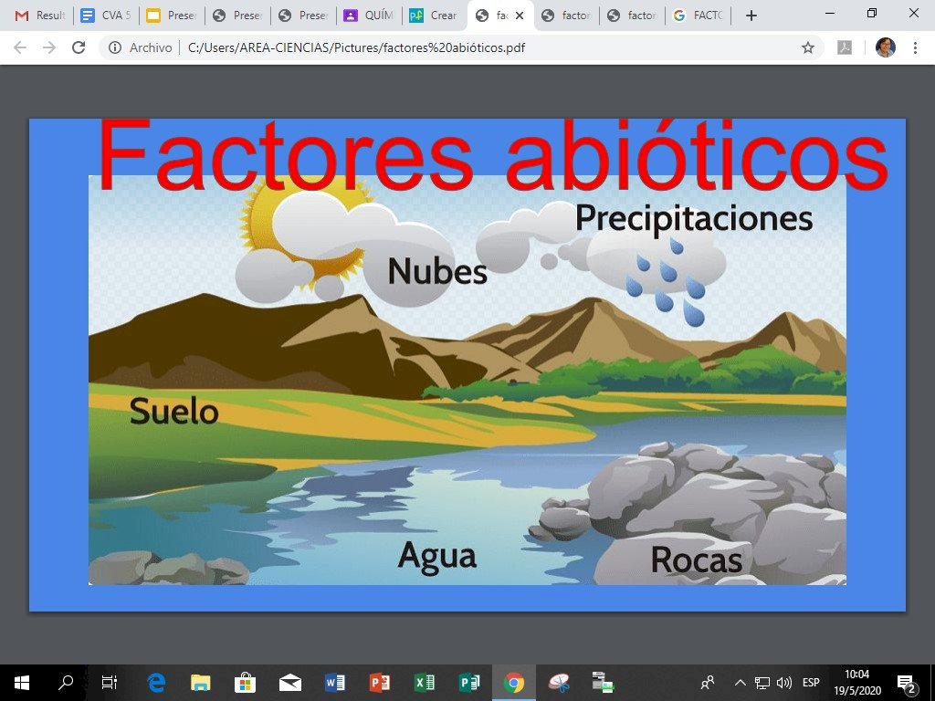 Factores abióticos - Puzzle Factory