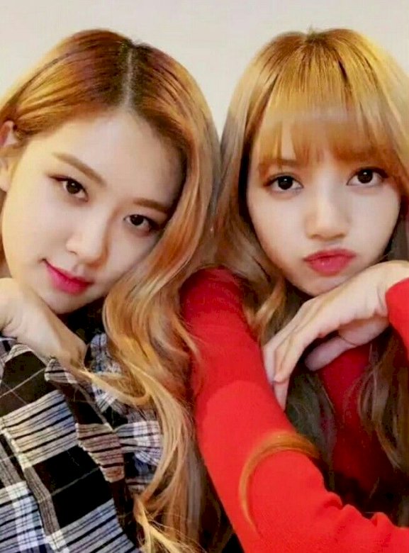 Rose And Lisa Blackpink Play Jigsaw Puzzle For Free At Puzzle Factory - blackpink lisa roblox