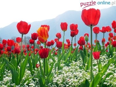 Kwiaty dla Mamy puzzle online