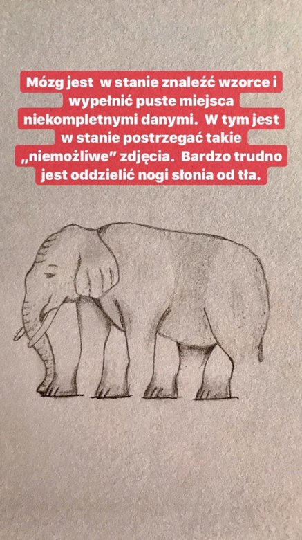 Słoń ile ma nóg? puzzle online
