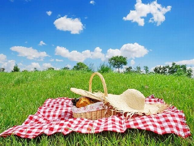 It's time to picnic puzzle online