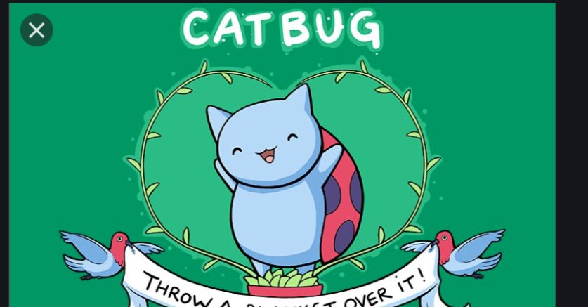 Catbug: Rzuć na nią koc! puzzle online