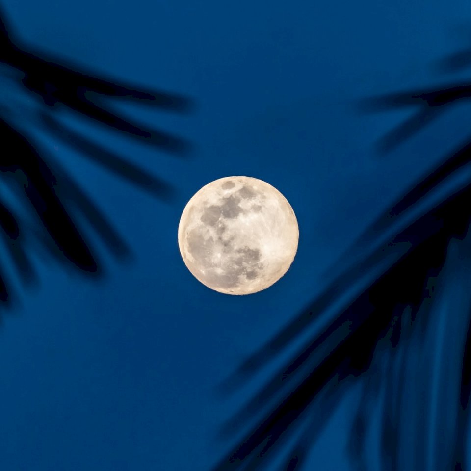 Księżyc w pełni w błękitne niebo z puzzle online