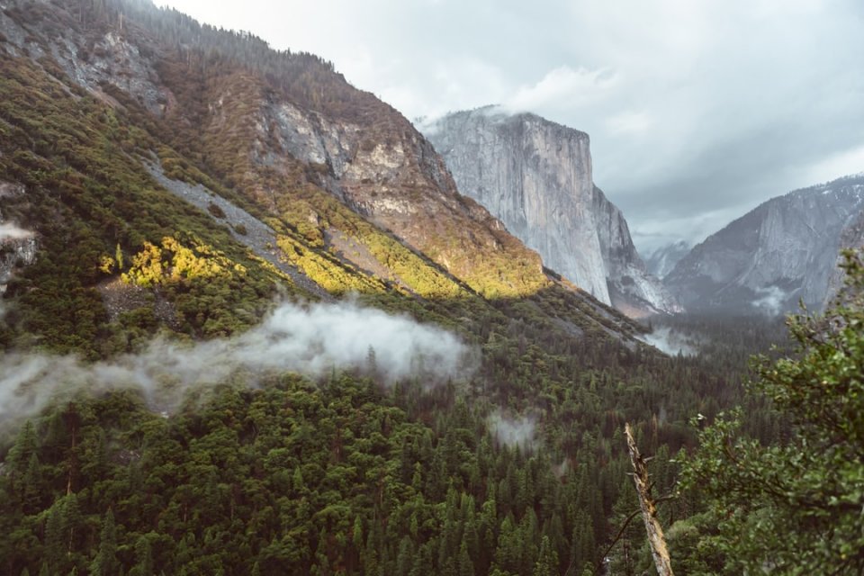 Widok tunelu w dolinie Yosemite puzzle online