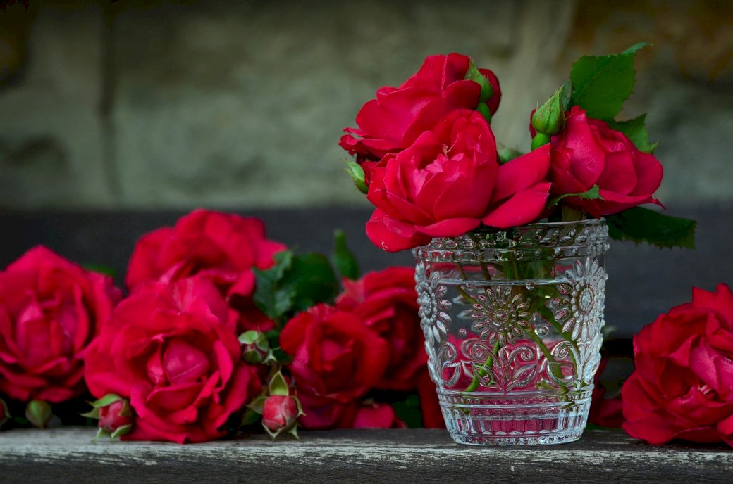 Czerwone róże puzzle online