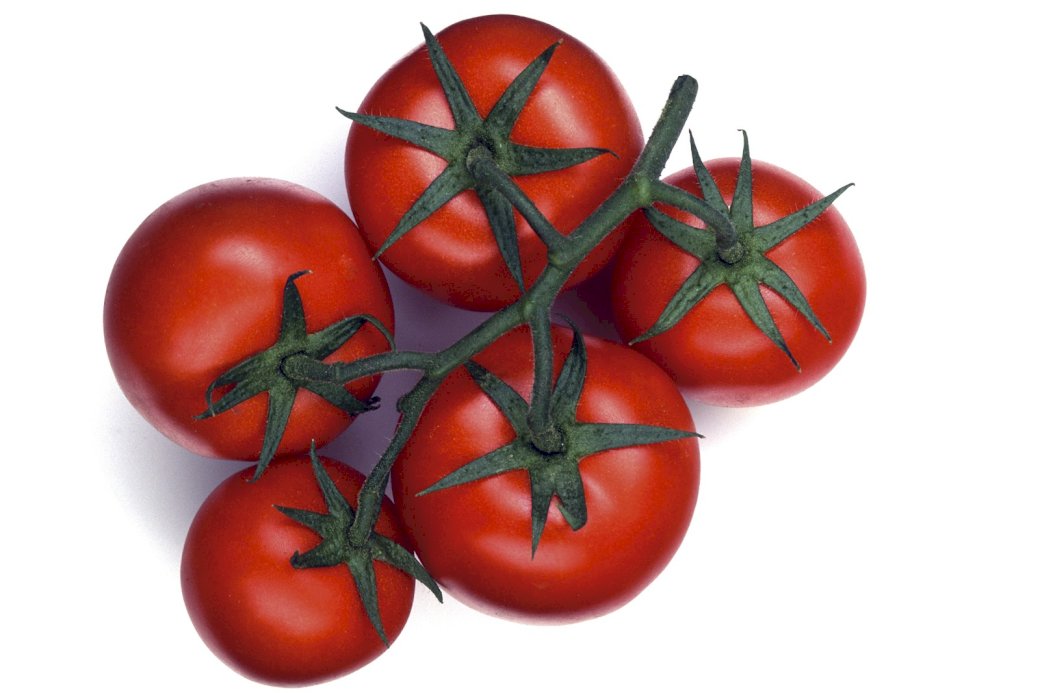 pomidory na szawuot puzzle online