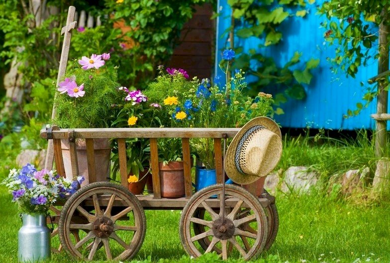 Wózek Ogrodowy Z  Kwiatami W Doniczkach puzzle online
