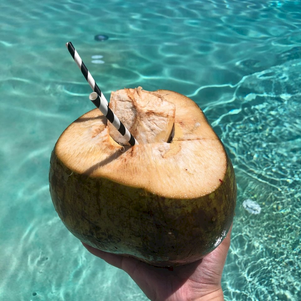 Odświeżający kokos przy basenie puzzle online